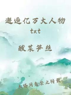 邂逅亿万大人物txt