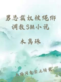 男总裁奴被绳绑调教SM小说