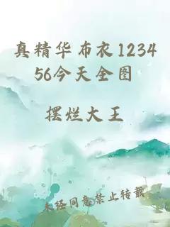 真精华布衣123456今天全图