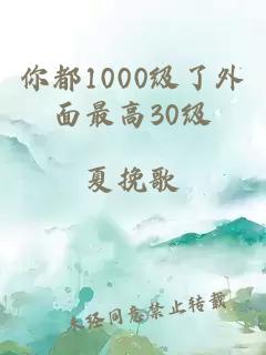 你都1000级了外面最高30级