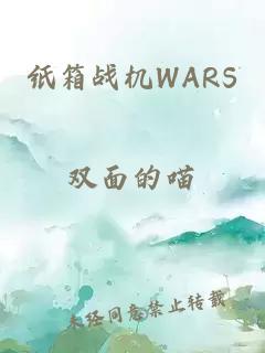 纸箱战机WARS