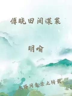 傅晓田间谍案