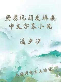 厨房玩朋友娇妻中文字幕小说