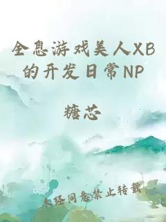 全息游戏美人XB的开发日常NP