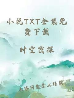 小说TXT全集免费下载