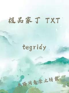 极品家丁 TXT