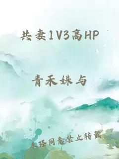 共妻1V3高HP