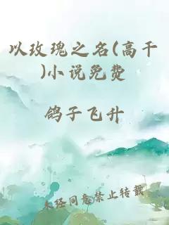 以玫瑰之名(高干)小说免费