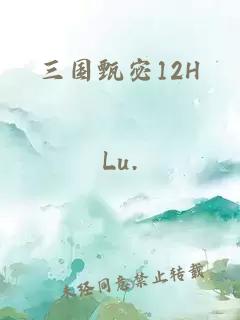 三国甄宓12H