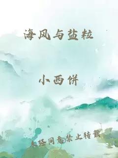 海风与盐粒