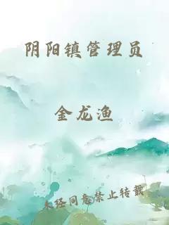 阴阳镇管理员