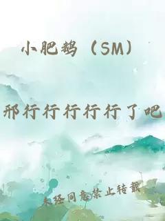 小肥鹅（SM）