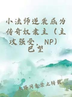 小法师逆袭成为传奇奴隶主（主攻强受，NP）