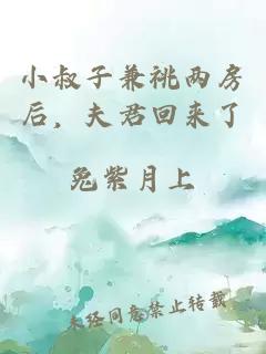 小叔子兼祧两房后，夫君回来了