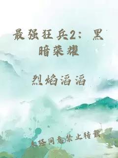 最强狂兵2：黑暗荣耀