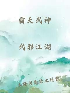 霸天武神