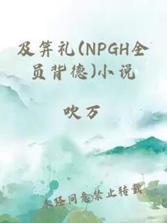 及笄礼(NPGH全员背德)小说