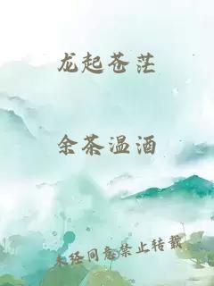 龙起苍茫