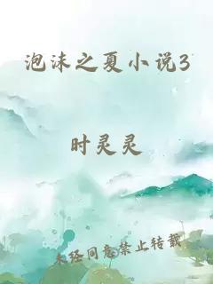 泡沫之夏小说3