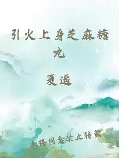 引火上身芝麻糖丸