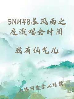 SNH48暴风雨之夜演唱会时间