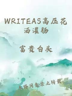 WRITEAS高压花洒灌肠