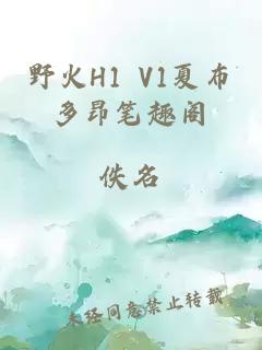 野火H1 V1夏布多昂笔趣阁