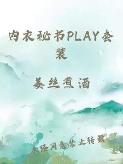 内衣秘书PLAY套装