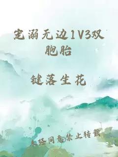 宠溺无边1V3双胞胎