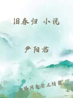 旧春归 小说