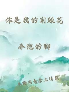 你是我的荆棘花