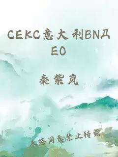 CEKC意大利BNДЕО